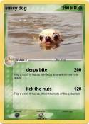 sussy dog