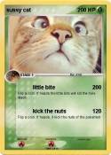 sussy cat