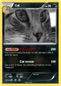 Cat