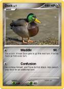 Duck