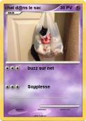 chat d@ns le