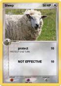 Sheep