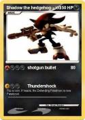 Shadow the hedg