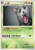 cat