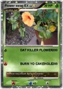 Flower swag EX