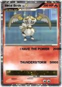 Metal Birds