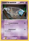 CHIPETTE MARRON