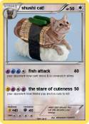 shushi cat!