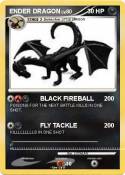 ENDER DRAGON