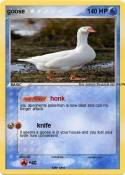 goose
