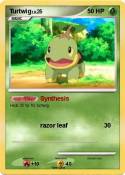 Turtwig