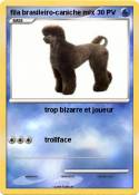 fila brasileiro