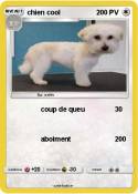 chien cool