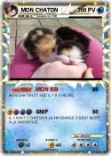 MON CHATON