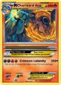 Charizard duo