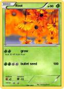 Root