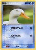 DUCK