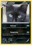 poxéchat