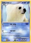 baby seal