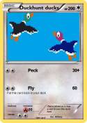 Duckhunt ducks