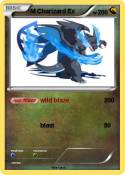 M Charizard