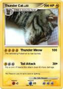 Thunder Cat