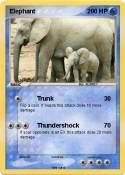 Elephant