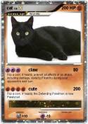 cat