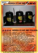 ADSEA 05 IAR IME POLSKA