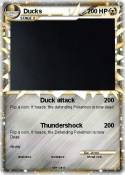 Ducks