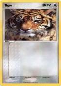 Tigre