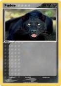 Pantère