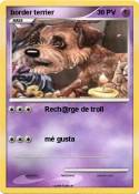 border terrier
