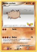 Spider cochon
