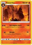 Forest Fire