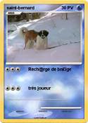 saint-bernard