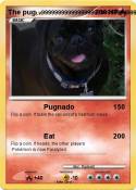 The pug