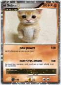 el Gato