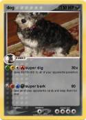 dog