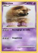 chow-chow