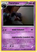 TransFéline