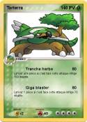 Torterra