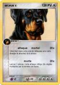 arceus x