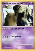 mastiff qui