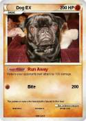 Dog EX
