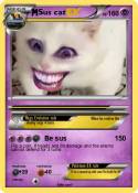 Sus cat