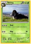 Old Dog