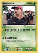 Tal do mula