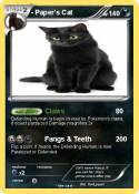 Paper's Cat