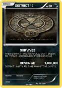 DISTRICT 13